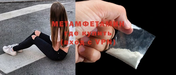 индика Дмитров