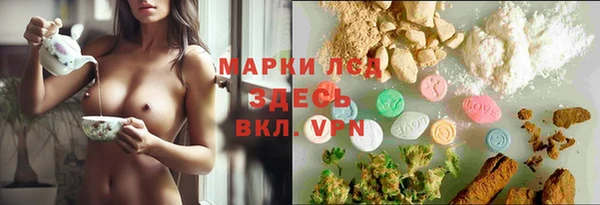 ECSTASY Дмитриев