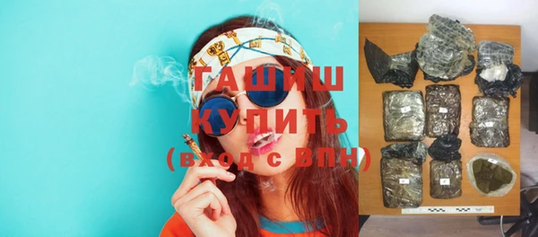 индика Дмитров