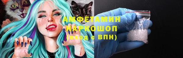 индика Дмитров