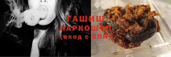 индика Дмитров