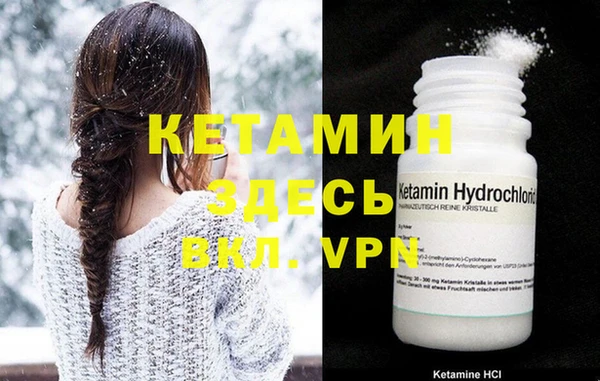 индика Дмитров