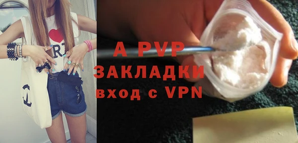 индика Дмитров