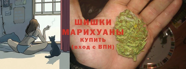 индика Дмитров