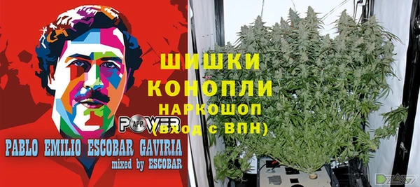 ECSTASY Дмитриев