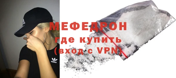 индика Дмитров