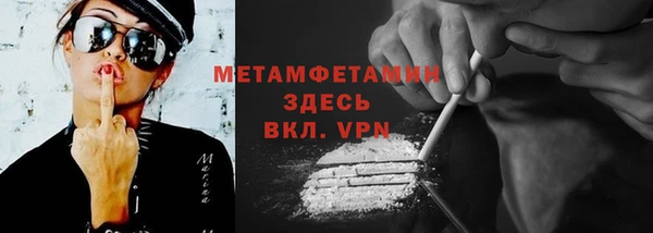 индика Дмитров