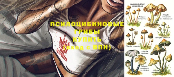ECSTASY Дмитриев