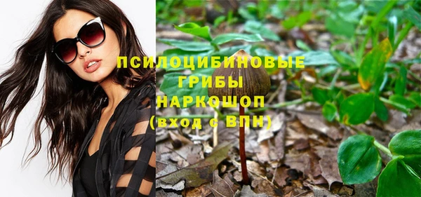 ECSTASY Дмитриев