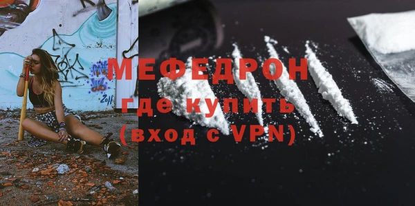 индика Дмитров