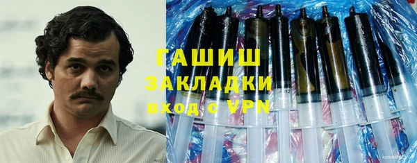 индика Дмитров