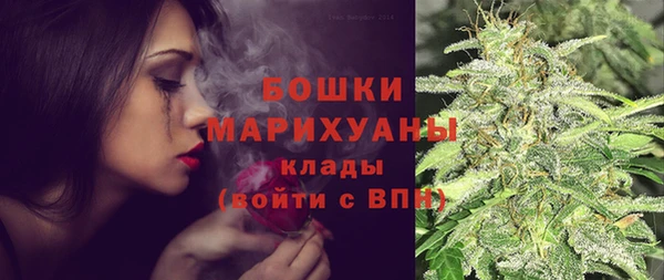 ECSTASY Дмитриев
