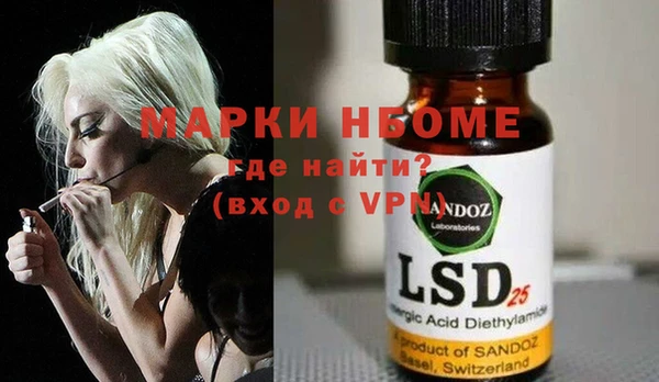 индика Дмитров