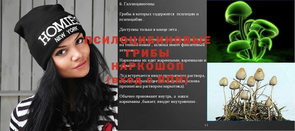 индика Дмитров