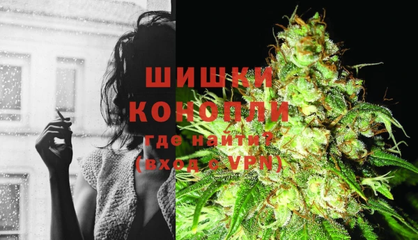 индика Дмитров