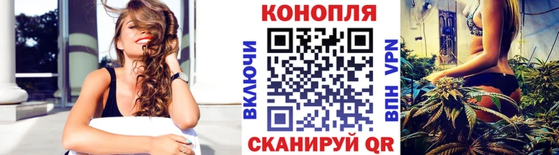 как найти закладки Белгород Марихуана сатива